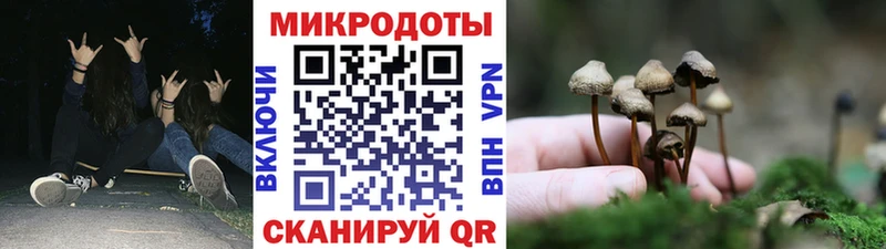 Галлюциногенные грибы мицелий Ленинск-Кузнецкий