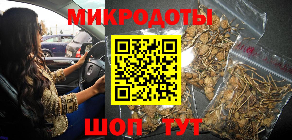 Галлюциногенные грибы Cubensis  Вход с VPN  Ленинск-Кузнецкий 
