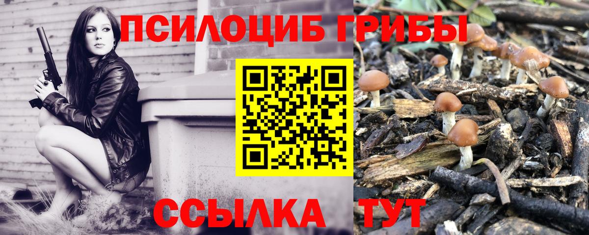Галлюциногенные грибы Cubensis Ленинск-Кузнецкий